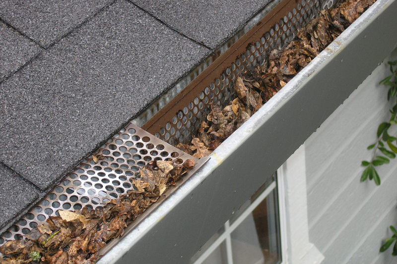 Gutter Services